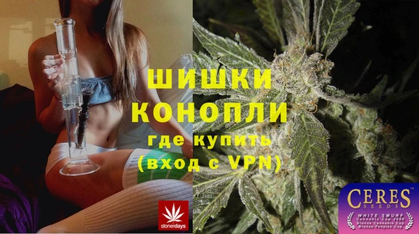 мдпв Михайлов