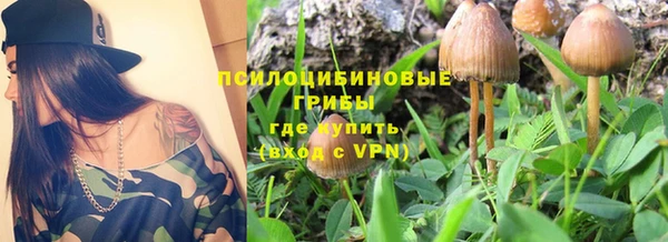 мдпв Михайлов