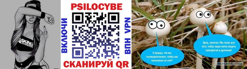Псилоцибиновые грибы Psilocybine cubensis  Саранск 